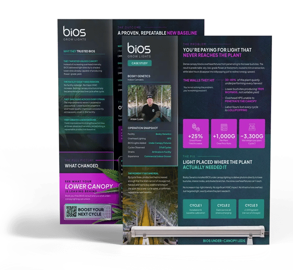 Bosky Case Study